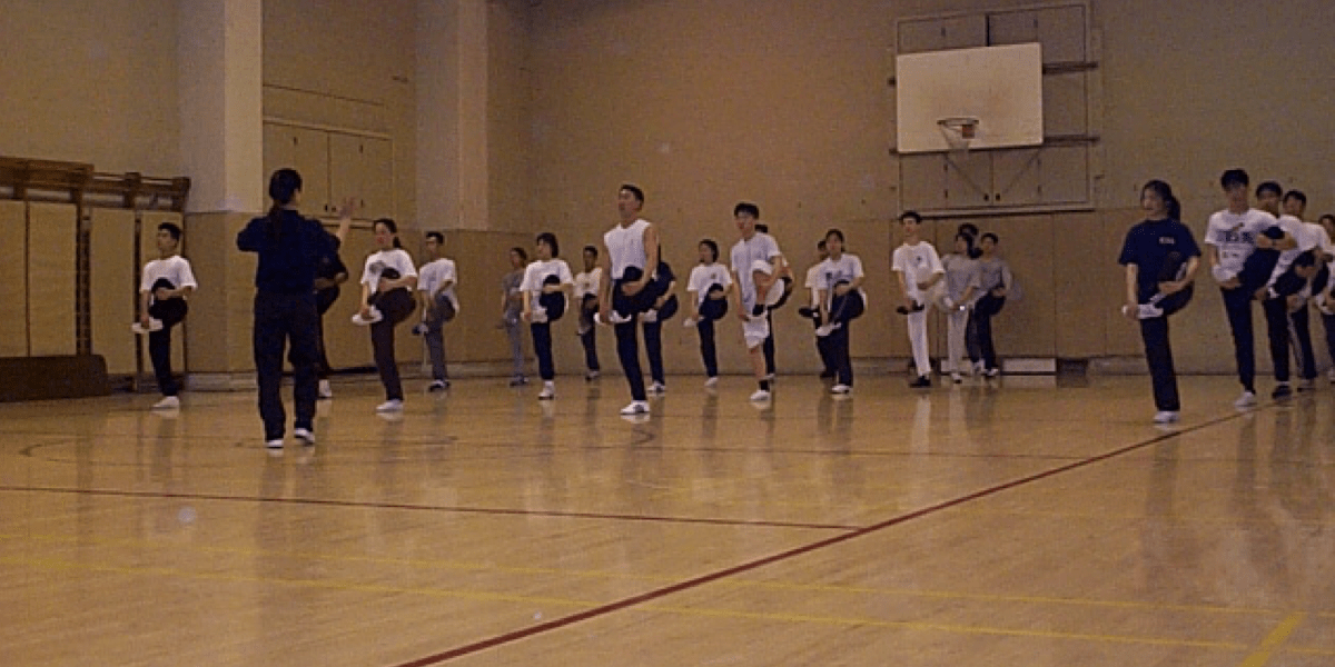 An Approach for Beginners Starting Wushu