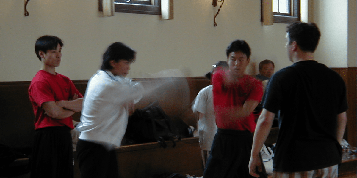 Typical Wushu Training in China and the West