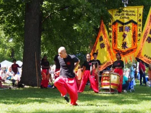 International Shaolin Wushu Center