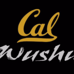 cal wushu logo