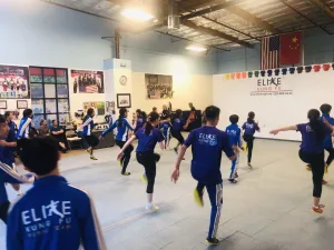 Elite Kungfu Academy