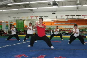 Wushu Unlimited