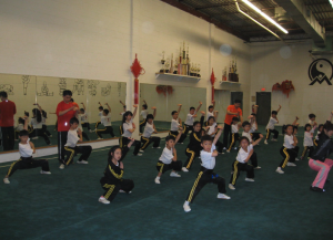 O-mei Wushu (Kung Fu) Center