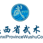 shaanxi provincial wushu college