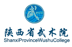 shaanxi provincial wushu college