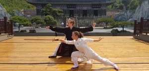 Wushu Guan