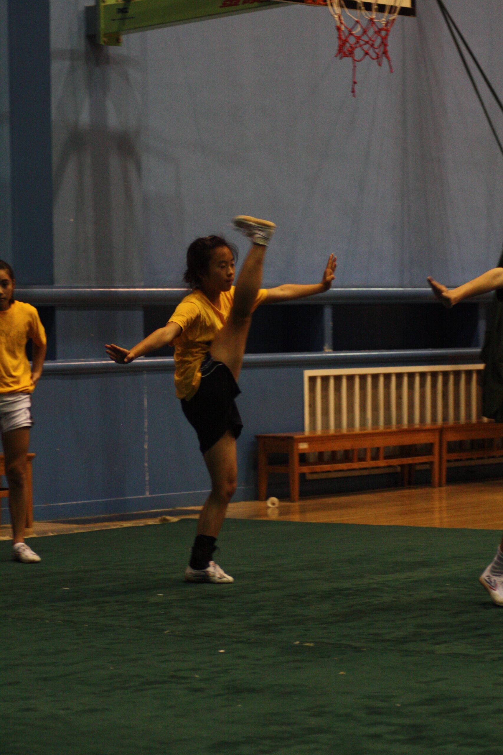 Ashley kicking